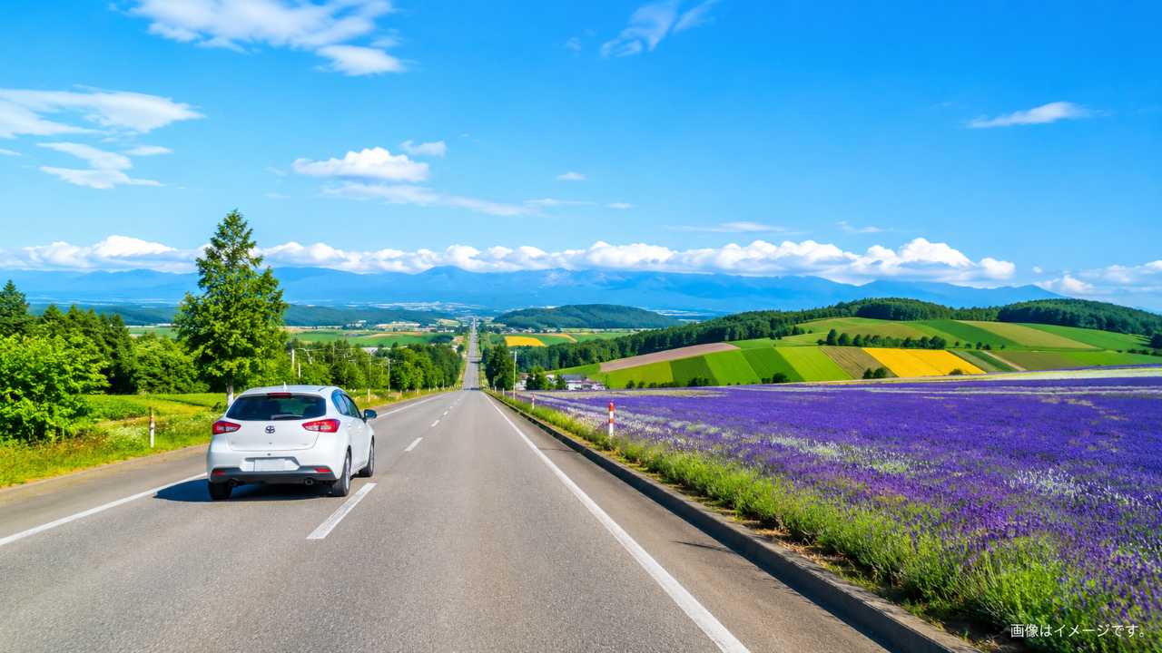 青空の下、まっすぐな道路を走る白い車、背景に富良野のラベンダー畑と美瑛の丘、爽やかで明るい写真風