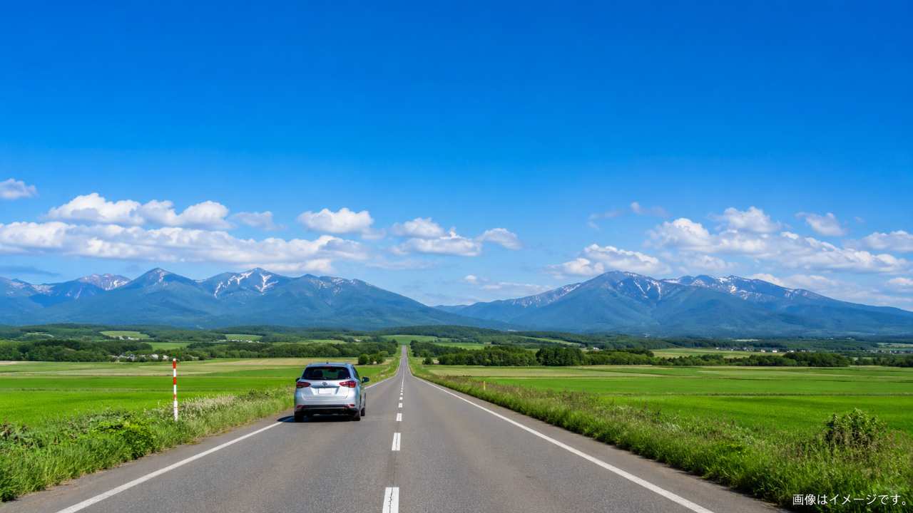 北海道の広大な一本道を車が走る